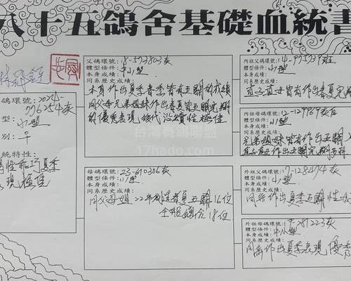 血統書