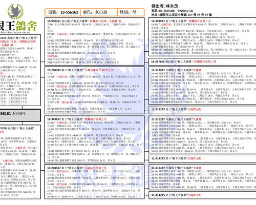 拍賣鴿之血統書