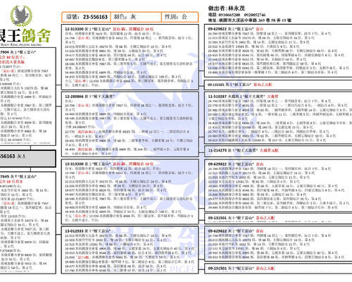 拍賣鴿之血統書