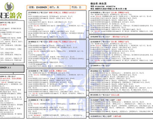 拍賣鴿之血統書