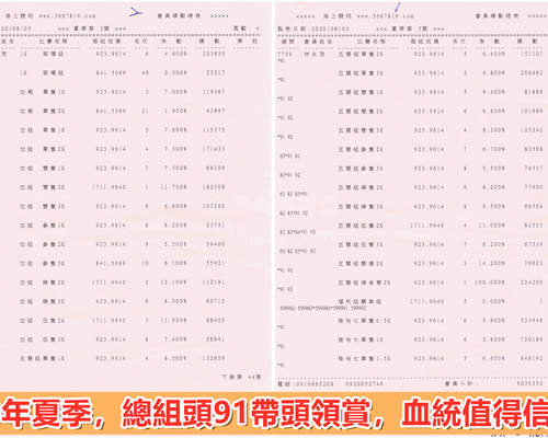 寫組精準，血統值得信賴