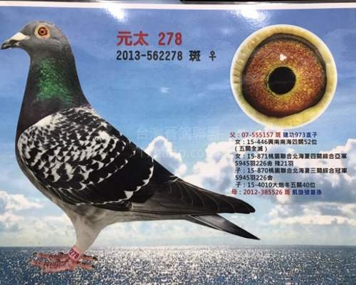 母